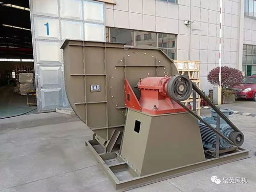 聚英 號外 號外 10月工作回顧新鮮出爐