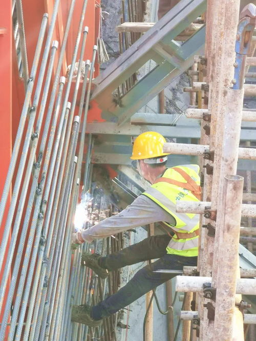 圖看交通 搶抓春光忙生產